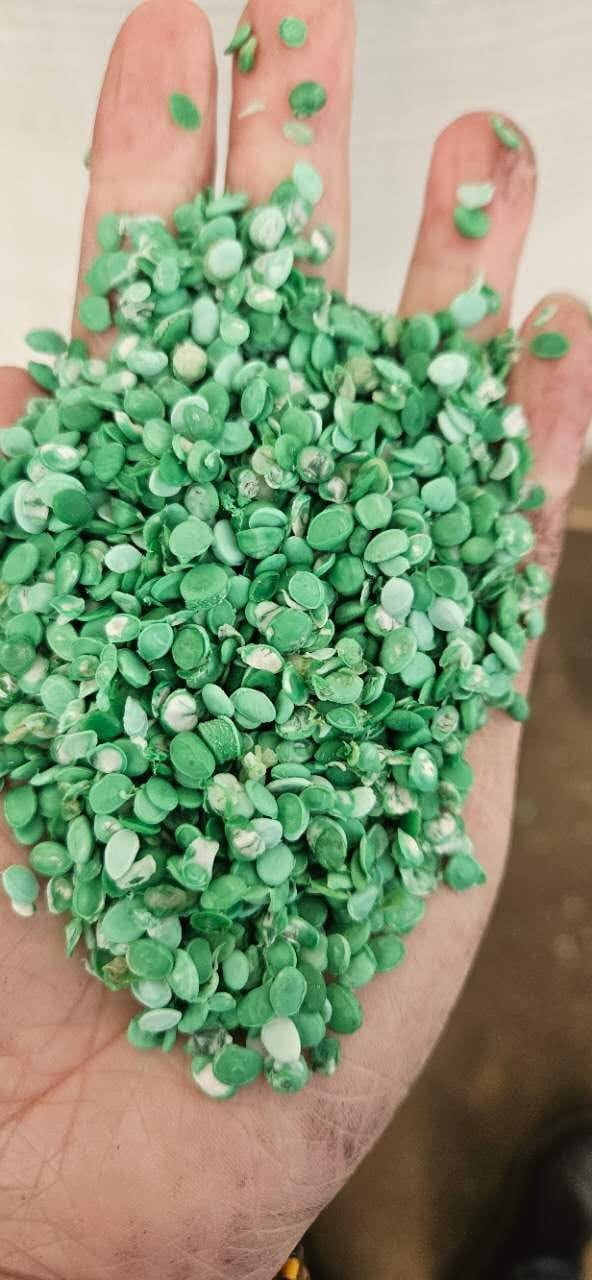 Predominantly green PLA regrind pellets in hand